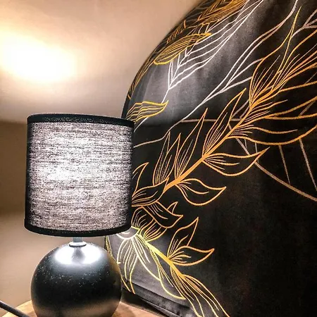 Le Lion D'or - D'exception - Hyper-centre Apartment *